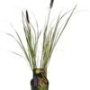 Lampenpoetsersgras (Pennisetum Alopecuroides 'Viridescens') D 17 H 80 Cm -Tuin Planten Winkel 8712815137681