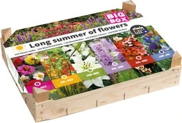 Big Box Long Summer Of Flowers 25 X 30 X 15 Cm 3 Big Box Long Summer Of Flowers 25 X 30 X 15 Cm