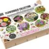 Florex Big Box Biodiversiteit 100 Stuks 2 Florex Big Box Biodiversiteit 100 Stuks -Tuin Planten Winkel 8713339117531