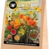 Florex Bloembollen 1M² Bloementapijt Sunny Festival 20 Stuks -Tuin Planten Winkel 8713339139816