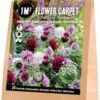 Florex Bloembollen 1M² Bloementapijt Fantasy Flavours 25 Stuks 1 Florex Bloembollen 1M² Bloementapijt Fantasy Flavours 25 Stuks -Tuin Planten Winkel 8713339139830