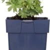 Ooievaarsbek (Geranium Sanguineum 'Max Frei') D 11 H 10 Cm -Tuin Planten Winkel 8713469375832 2 1