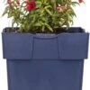 Bellenplant (Fuchsia Microphylla 'David') D 11 H 10 Cm -Tuin Planten Winkel 8717191403078