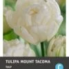 Intratuin Bloembollen Tulp (Tulipa 'Mount Tacoma') 10 Stuks 2 Intratuin Bloembollen Tulp (Tulipa 'Mount Tacoma') 10 Stuks -Tuin Planten Winkel 8717263341192 1 1