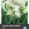 Intratuin Bloembollen Tulp (Tulipa 'Super Parrot') 10 Stuks -Tuin Planten Winkel 8717263341291 1 1 1