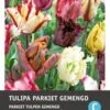 Intratuin Bloembollen Parkiettulp (Tulipa 'Parrot') Gemengd 10 Stuks -Tuin Planten Winkel 8717263341307 1 1 1