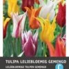 Intratuin Bloembollen Tulp (Tulipa 'Lilyflowering') Leliebloemig Gemengd 10 Stuks -Tuin Planten Winkel 8717263341321 1