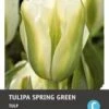 Intratuin Bloembollen Tulp (Tulipa 'Spring Green') 7 Stuks -Tuin Planten Winkel 8717263341383 1 1
