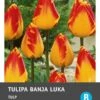 Intratuin Bloembollen Tulp (Tulipa 'Banja Luka') 10 Stuks 2 Intratuin Bloembollen Tulp (Tulipa 'Banja Luka') 10 Stuks -Tuin Planten Winkel 8717263341475 2