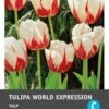 Intratuin Bloembollen Tulp (Tulipa 'World Expression') 10 Stuks -Tuin Planten Winkel 8717263341543 1 1