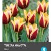Intratuin Bloembollen Tulp (Tulipa 'Gavota') 10 Stuks -Tuin Planten Winkel 8717263341550 2 1