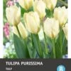 Intratuin Bloembollen Tulp (Tulipa 'Purissima') 10 Stuks -Tuin Planten Winkel 8717263341598 1