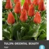 Intratuin Bloembollen Tulp (Tulipa 'Oriental Beauty') 10 Stuks -Tuin Planten Winkel 8717263341604