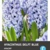 Intratuin Bloembollen Hyacint (Hyacinthus 'Delft Blue') 5 Stuks -Tuin Planten Winkel 8717263341673 1 1 1