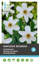 Intratuin Bloembollen Narcis (Narcissus 'Recurvus') 5 Stuks