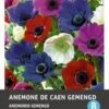 Intratuin Bloemknollen Anemoon (Anemone 'De Caen') Gemengd 25 Stuks -Tuin Planten Winkel 8717263342199 1 1
