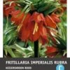 Intratuin Bloembollen Keizerskroon (Fritillaria Imperialis 'Rubra') -Tuin Planten Winkel 8717263342281 1 1
