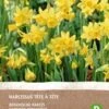 Intratuin Biologische Bloembollen Narcis (Narcissus 'Tète á Â Tète') 5 Stuks 1 Intratuin Biologische Bloembollen Narcis (Narcissus 'Tète á Â Tète') 5 Stuks -Tuin Planten Winkel 8717263342496 1 1