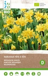 Intratuin Biologische Bloembollen Narcis (Narcissus 'Tète á Â Tète') 5 Stuks