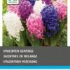 Intratuin Bloembollen Hyacint (Hyacinthus 'Delight') Gemengd 12 Stuks -Tuin Planten Winkel 8717263342786 1