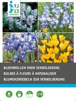 Intratuin Bloembollen (voor Verwildering) Gemengd 60 Stuks -Tuin Planten Winkel 8717263342847 1 2