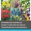 Intratuin Bloembollen (bijenvriendelijk) Gemengd 44 Stuks -Tuin Planten Winkel 8717263342915 2