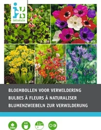 Intratuin Bloembollen Voor Verwildering 200 Stuks