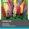 Intratuin Lupine (Lupinus) Mix 10 Stuks -Tuin Planten Winkel 8717263345046