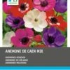 Intratuin Anemoon Knol (Anemone 'De Caen') Mix 60 Stuks 1 Intratuin Anemoon Knol (Anemone 'De Caen') Mix 60 Stuks -Tuin Planten Winkel 8717263345206 1