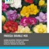 Intratuin Bloembollen Freesia Dubbel Mix 50 Stuks -Tuin Planten Winkel 8717263345213 1