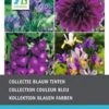 Kleurenpakket Blauw Bloembollen 30 Stuks -Tuin Planten Winkel 8717263345244 0