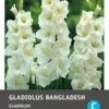 Intratuin Bloembollen Gladiool (Gladiolus 'Bangladesh') 10 Stuks -Tuin Planten Winkel 8717263345336 1 1