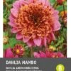 Intratuin Dahlia Knol (Dahlia 'Mambo') -Tuin Planten Winkel 8717263345442 1