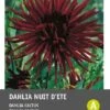 Intratuin Dahlia Knol (Dahlia Cactus 'Nuit D'ete') 2 Intratuin Dahlia Knol (Dahlia Cactus 'Nuit D'ete') -Tuin Planten Winkel 8717263345558 1