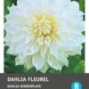 Intratuin Dahlia Knol (Dahlia 'Fleurel') -Tuin Planten Winkel 8717263345701 1