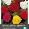 Intratuin Begonia Knol (Begonia Grandiflora) Gemengd 3 Stuks -Tuin Planten Winkel 8717263345787 1