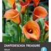 Calla (Zantedeschia 'Treasure') 2 Stuks -Tuin Planten Winkel 8717263345824 0