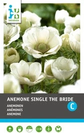 Intratuin Anemoon Knol (Anemone Single 'The Bride') 25 Stuks