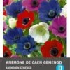 Intratuin Bloemknol Anemoon (Anemone 'De Caen') Gemengd 25 Stuks -Tuin Planten Winkel 8717263345893 0 1