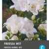 Intratuin Bloembollen Freesia Dubbel (Freesia) 25 Stuks -Tuin Planten Winkel 8717263345923 1 1