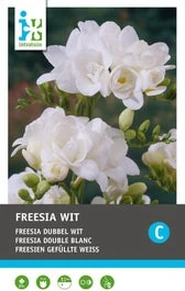 Intratuin Bloembollen Freesia Dubbel (Freesia) 25 Stuks
