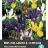 Intratuin Bloembollen Iris (Iris Hollandica) Gemengd 15 Stuks -Tuin Planten Winkel 8717263345985 1 1
