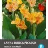 Intratuin Indisch Bloemriet Knol (Canna Indica 'Lucifer Picasso') 2 Stuks -Tuin Planten Winkel 8717263346104 1 1