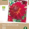 Intratuin Biologische Dahlia Knol (Dahlia 'Manhattan Island') -Tuin Planten Winkel 8717263346500 1 1