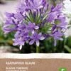 Intratuin Biologische Afrikaanse Lelie Knol (Agapanthus) Blauw 2 Intratuin Biologische Afrikaanse Lelie Knol (Agapanthus) Blauw -Tuin Planten Winkel 8717263346623 1