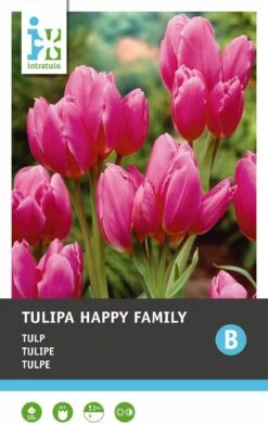 Intratuin Bloembollen Tulp (Tulipa 'Happy Family') 10 Stuks -Tuin Planten Winkel 8717263347019 1 1