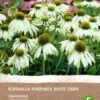 Intratuin Biologische Vaste Plant Zonnehoed (Echinacea 'White Swan') -Tuin Planten Winkel 8717263347842 2 1