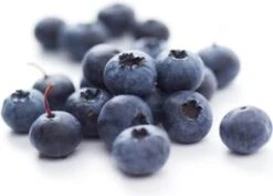 Biologische Blauwe Bes (Vaccinium Corymbosum 'Reka®') D 13 H 40 Cm