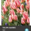 Intratuin Bloembollen Tulp (Tulipa 'Quebec') 10 Stuks -Tuin Planten Winkel 8717263786481
