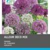 Intratuin Bloembollen Sierui (Alium) Gemengd 20 Stuks 1 Intratuin Bloembollen Sierui (Alium) Gemengd 20 Stuks -Tuin Planten Winkel 8717263786955